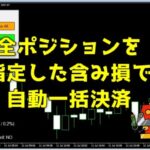 Exy-Panel ONEの損切モードの使い方｜資金％と固定金額でリスクを自動管理！サムネイル